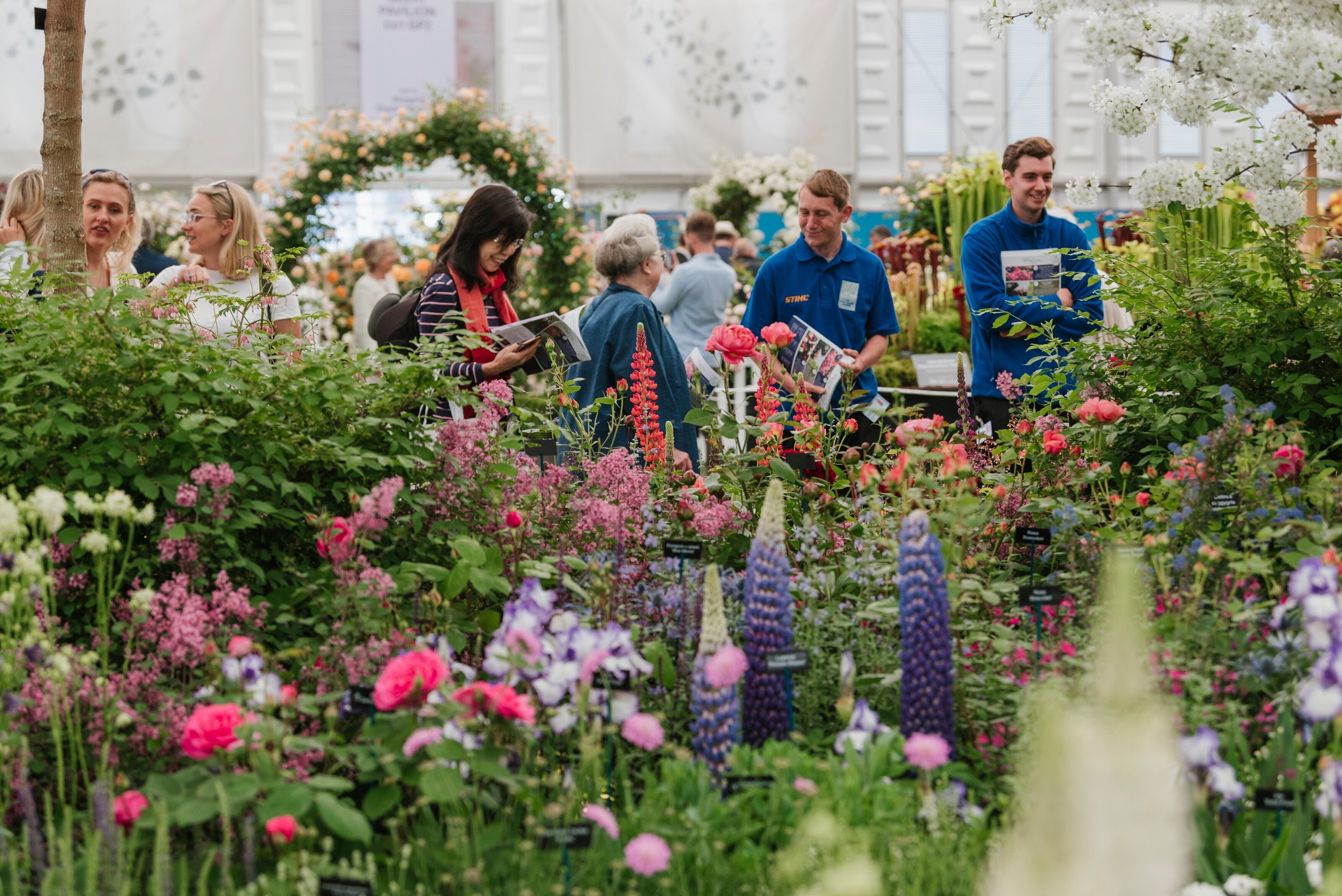 Premier Events Exclusive Access To Rhs Chelsea Flower Show Members Tickets